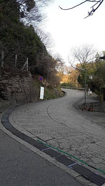 20160305_161338.jpg