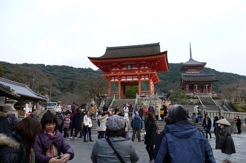 P1000387.JPG