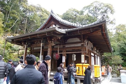 P1000379.JPG
