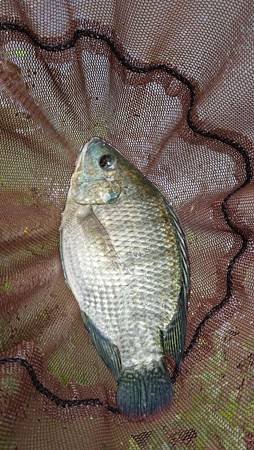 IMG_20140628_111033.jpg