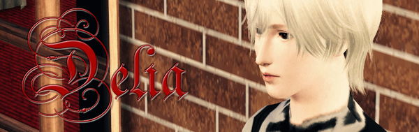 banner12.png