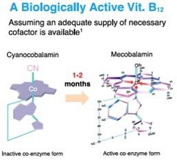 活性B12的轉換