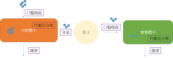 圖片1