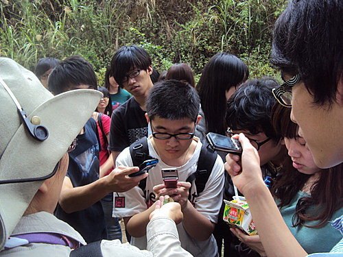 彰師大通識課~認識客家桐花祭與八卦山蝴蝶園生態