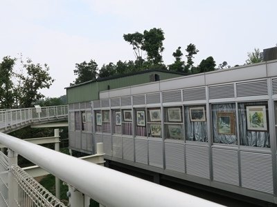 34.JPG