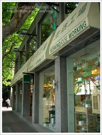 DSCN5113.jpg