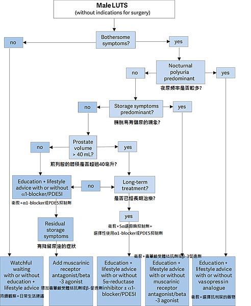 EAU Guideline.png