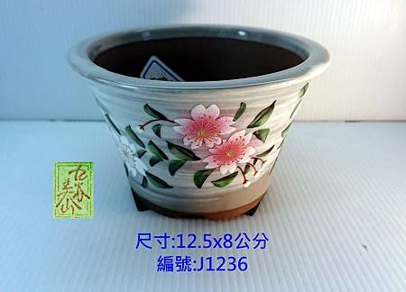 J1236.JPG