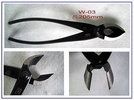 W-03-1.jpg