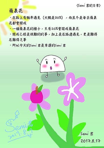 蘋果花.jpg