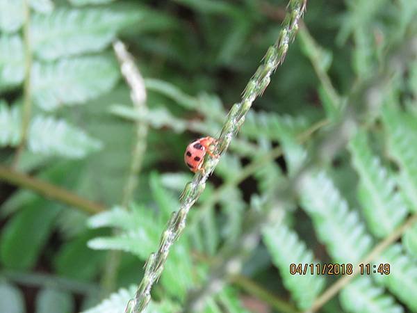 IMG_3312.JPG