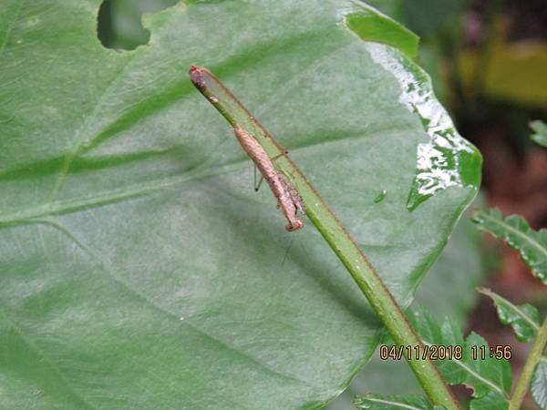 IMG_3317.JPG