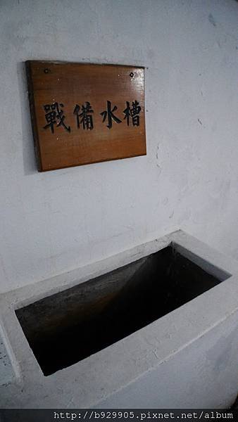 P1010408.JPG