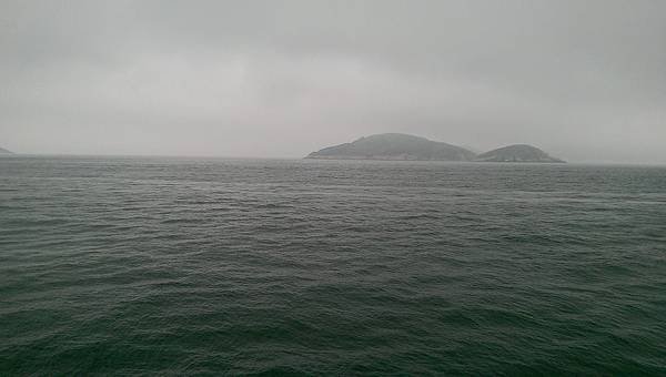 IMAG0134.jpg