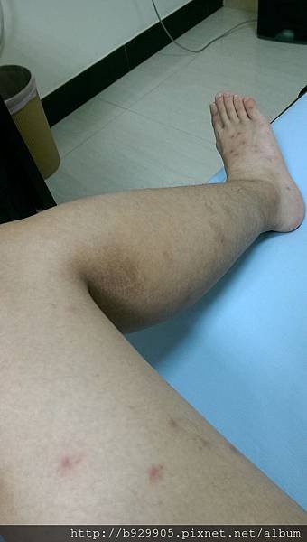 IMAG0128.jpg