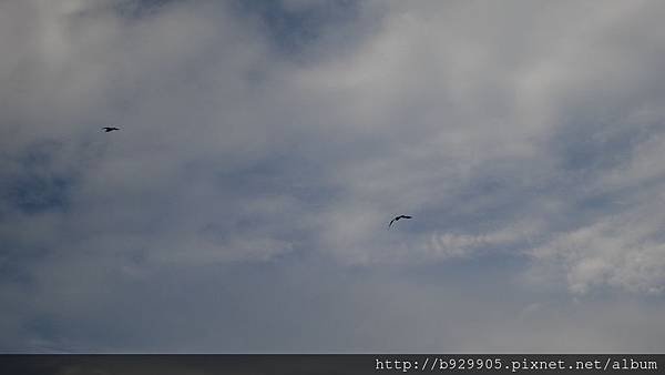 P1020011.JPG
