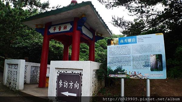 P1020029.JPG