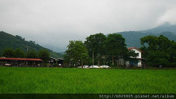 P1050812.JPG