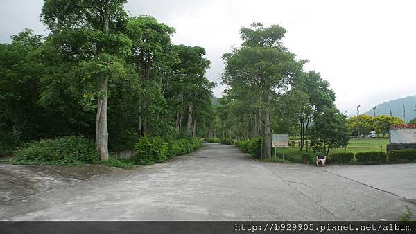 P1050797.JPG
