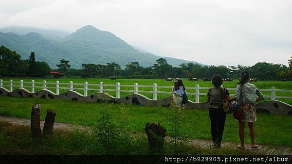 P1050799.JPG
