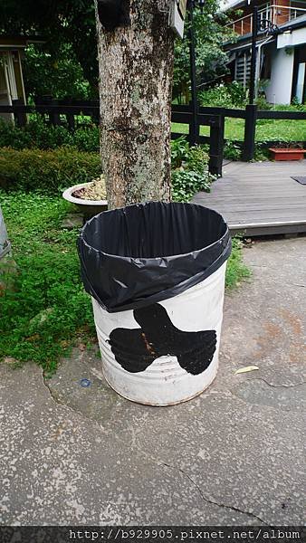 P1050801.JPG