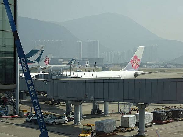 DSC00655