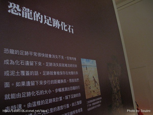 100117-2．中正紀念堂．國際恐龍展 (106).jpg