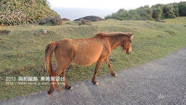 東崎