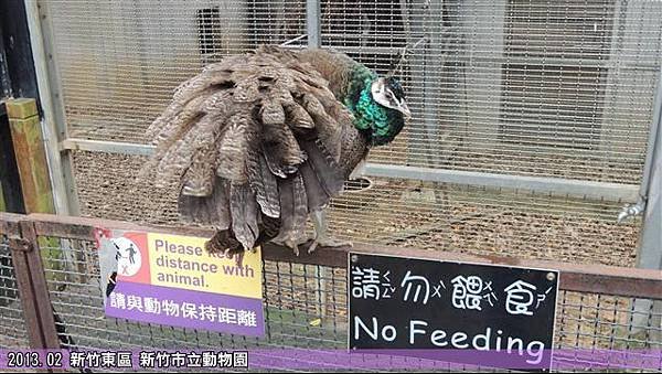 新竹動物園