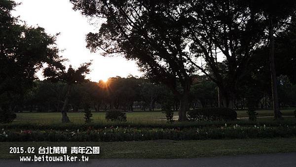 青年公園