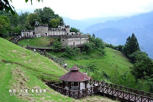 青青草園