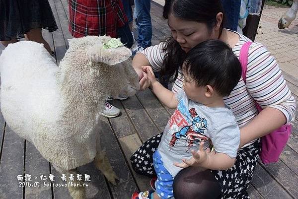 青青草園