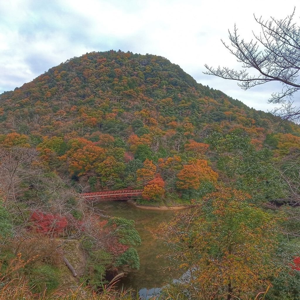 龜山_關口飯店