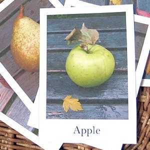 fruit-flash-cards-300