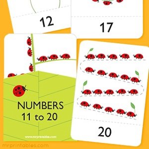 number-flash-cards-20-300