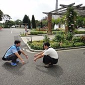 東京團體行第三天 (11).JPG