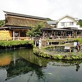 東京團體行第四天 (8).JPG