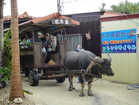 竹富島-44.JPG