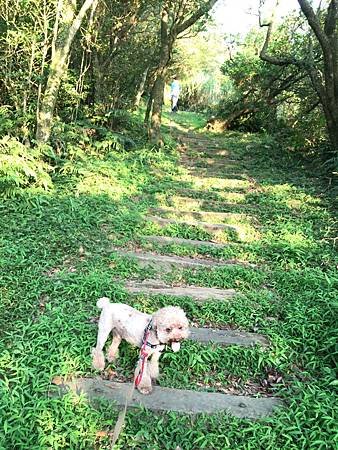IMG_3158.jpg