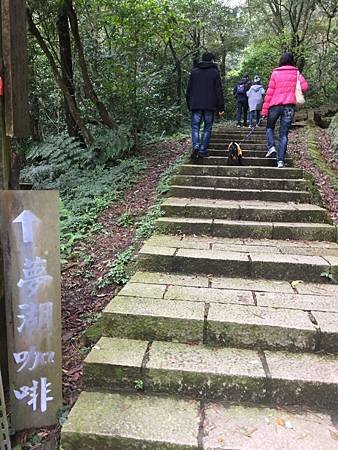 1060227--新山夢湖-16.JPG