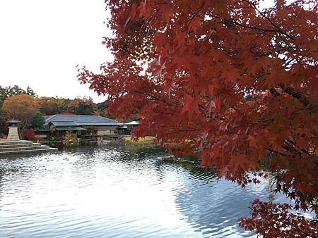 白鳥庭園-5.JPG