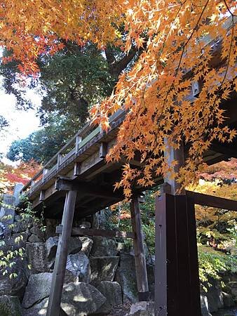 德川園-2.JPG