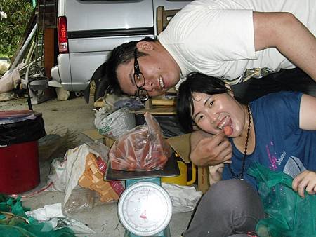 20110619荔枝採收-天賜有機農場 (10).JPG
