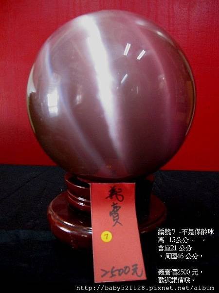 義賣7.jpg