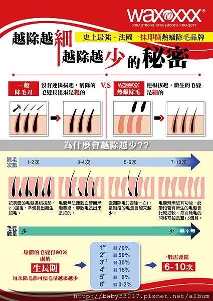 除毛週期-01