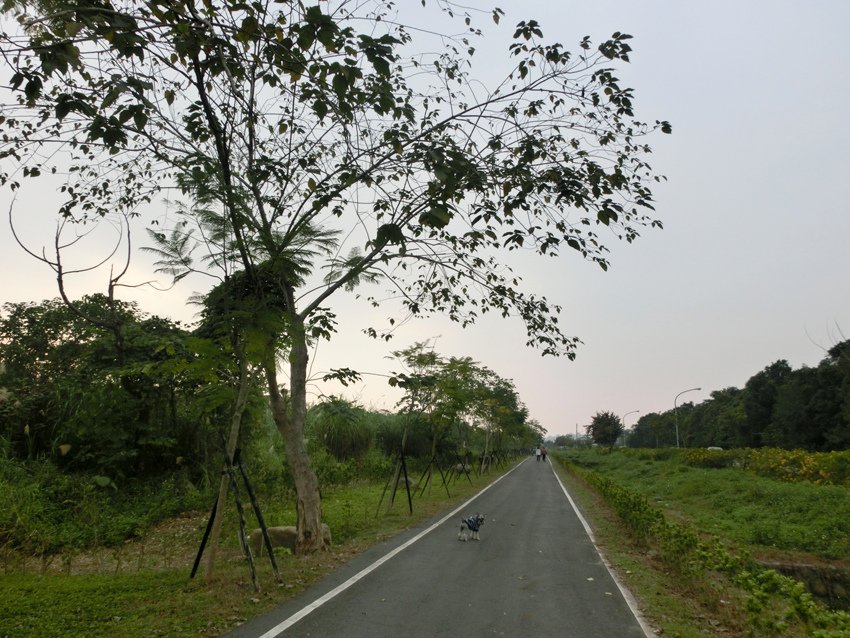 CIMG5958.JPG