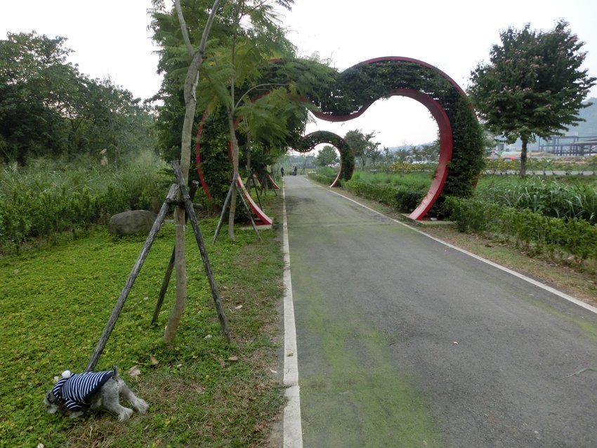 CIMG5970.JPG