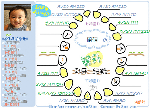 1040520發牙表 (第十四顆)