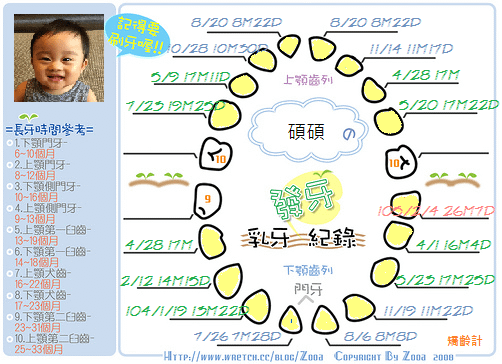 1050204發牙表 (第十七顆).png