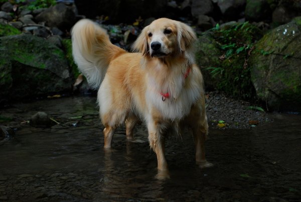 DSC_0187.JPG